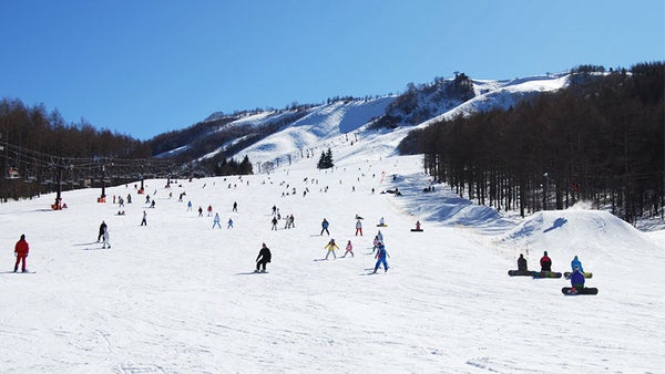 【新宿朝発】ぶっとび!日帰りスキー&スノボ|しらかば2in1スキー場(リフト券付)1